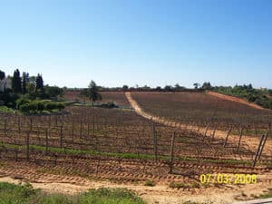 Cliff Richards House vineyard Algarve